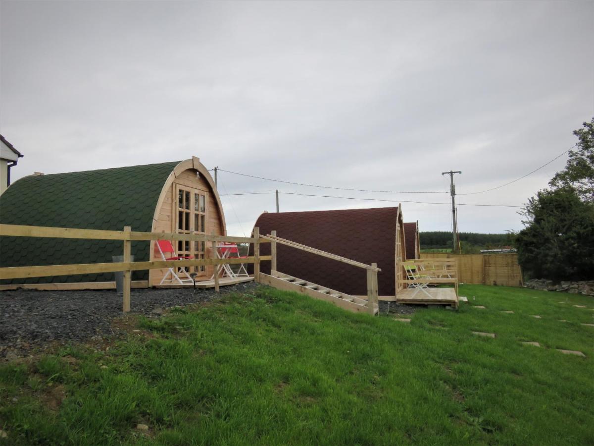 Shannon Estuary Glamping Effernan Екстер'єр фото
