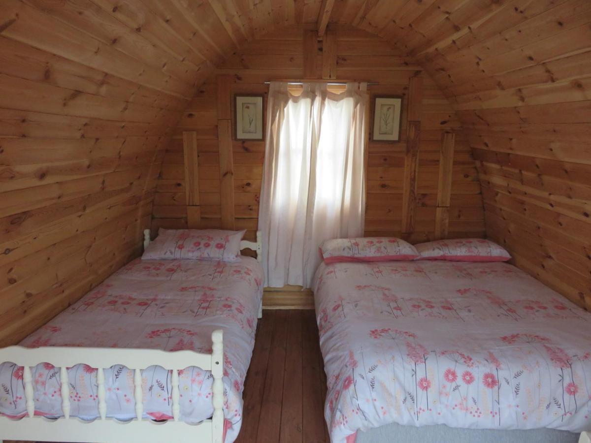 Shannon Estuary Glamping Effernan Екстер'єр фото
