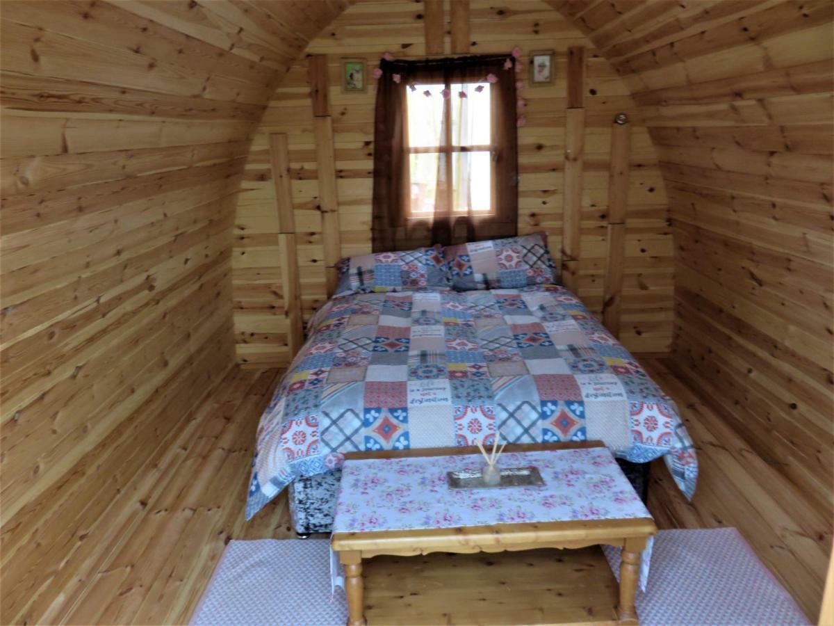 Shannon Estuary Glamping Effernan Екстер'єр фото