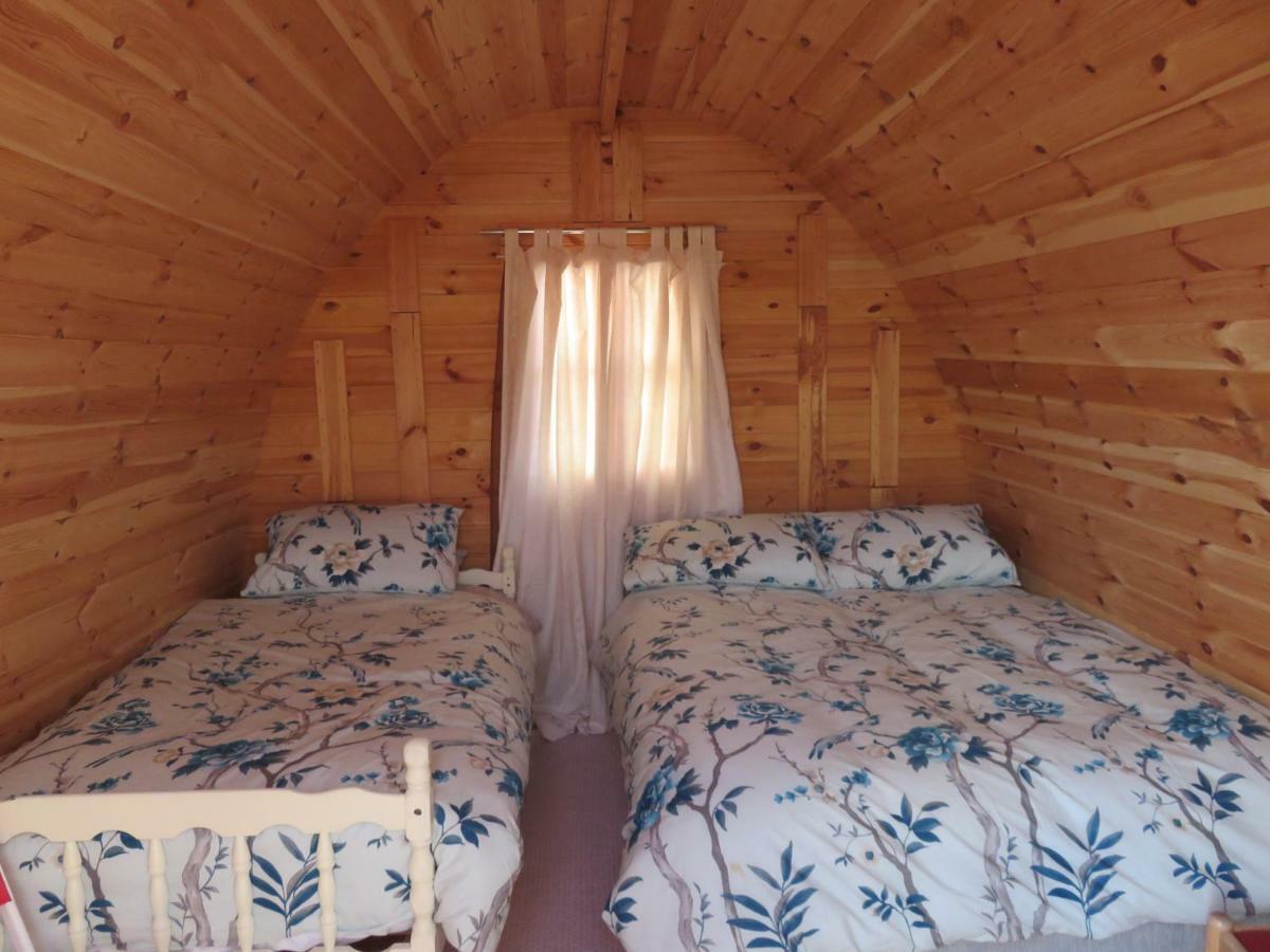 Shannon Estuary Glamping Effernan Екстер'єр фото