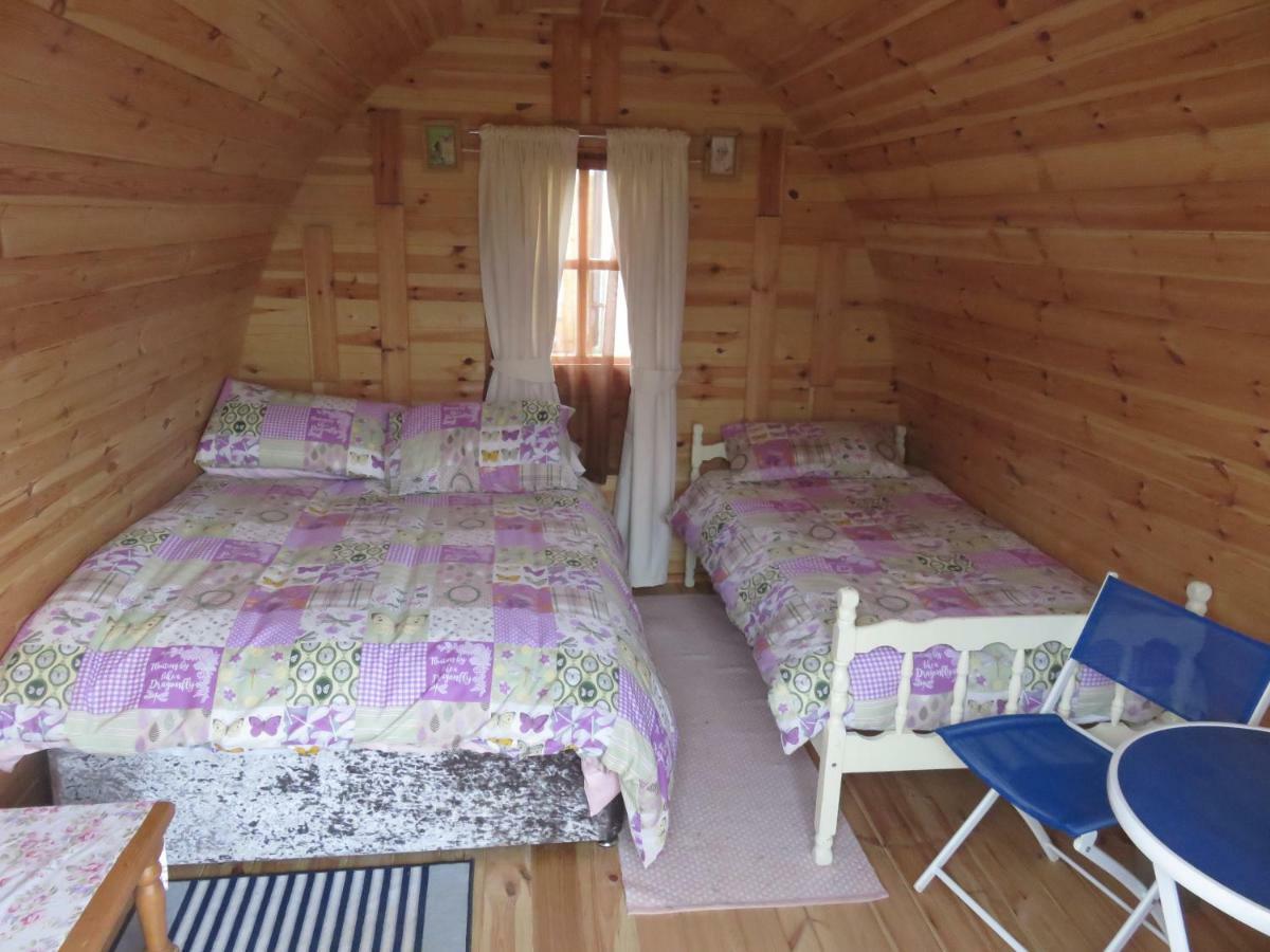 Shannon Estuary Glamping Effernan Екстер'єр фото
