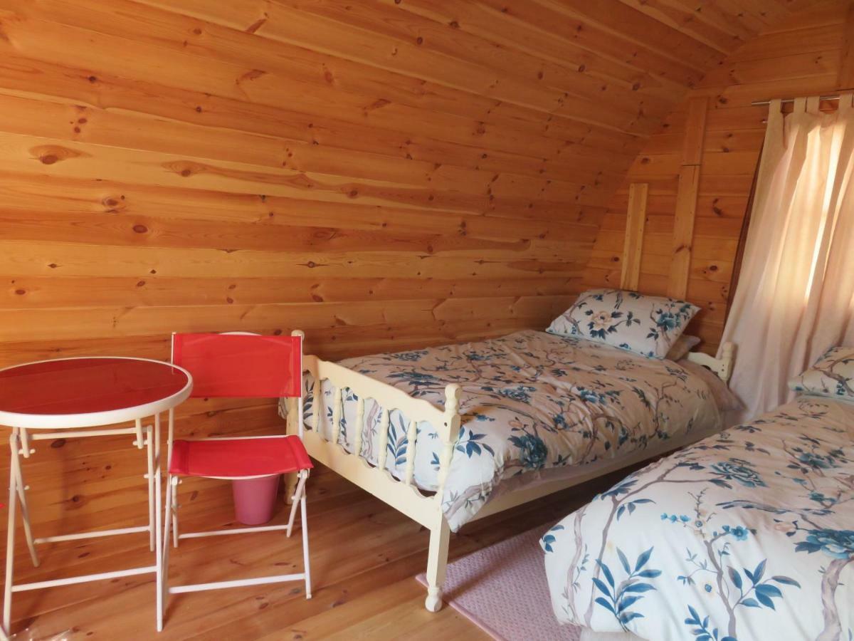 Shannon Estuary Glamping Effernan Екстер'єр фото